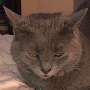 Meet your Posher, Sharon